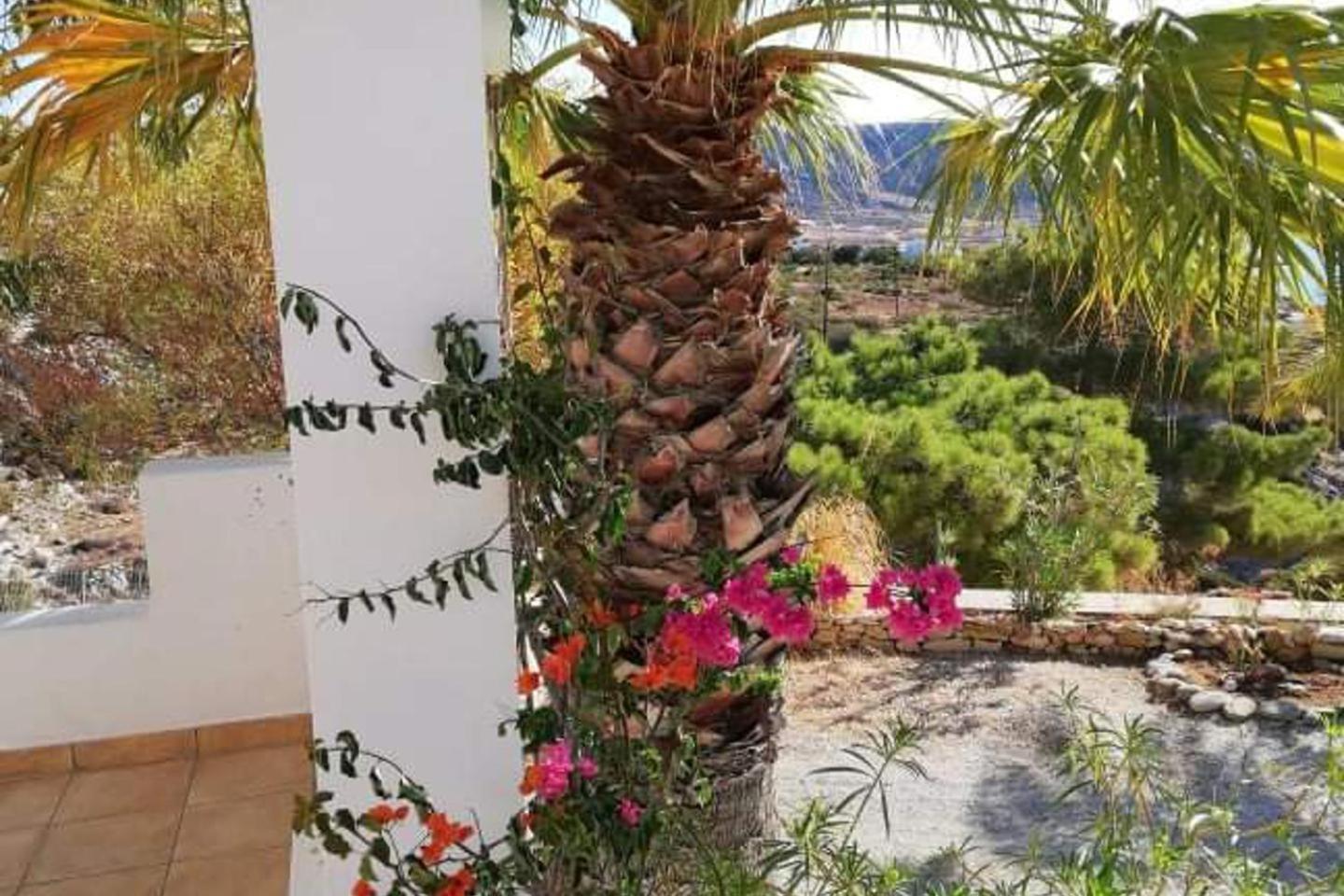 Tranquil Villa With Sea View In Ammopi Karpathos Amoopi Ngoại thất bức ảnh